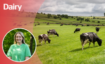 OPINION: I feel 'silly season' may be about to begin 