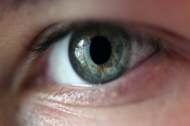 Glaucoma's underlying mechanisms identified by research