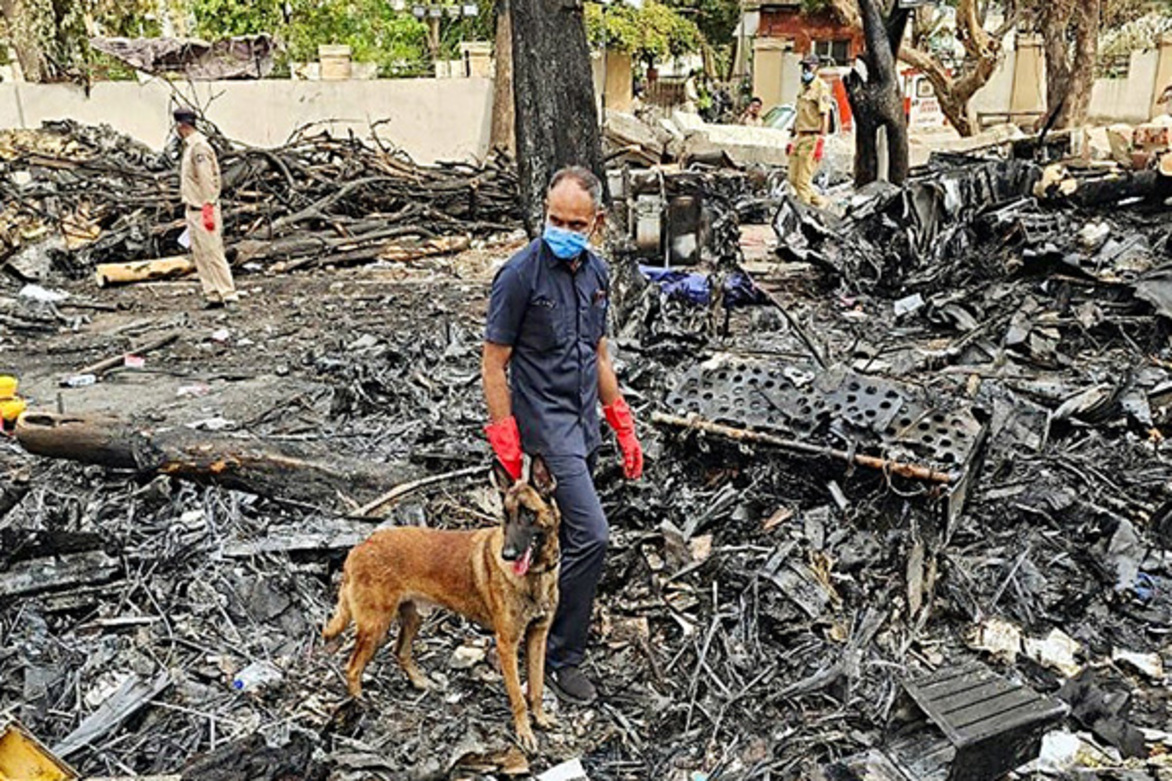 Air India plane crash: 144 DNA samples have been matched, says Gujarat Home Minister