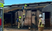 Cows spared harm as crews tackle barn fire in Bude