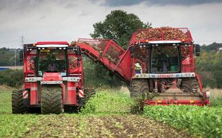 Sugar beet could have a new market in Scotland.