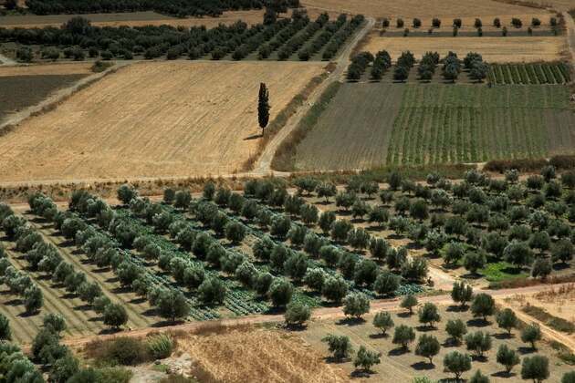 Greek Agriculture Could Cut Emissions by 62% With Precision Farming