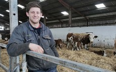 Young farmer focus: Stephen Allen -'Only gaining experience can you learn how to do it'