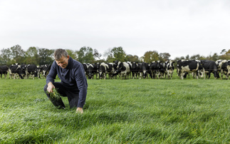 Grass breeding for the future - resilience is key