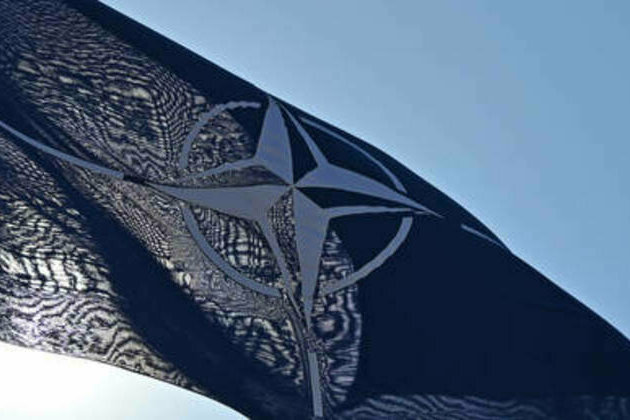 European NATO states have 'no political will' - US envoy