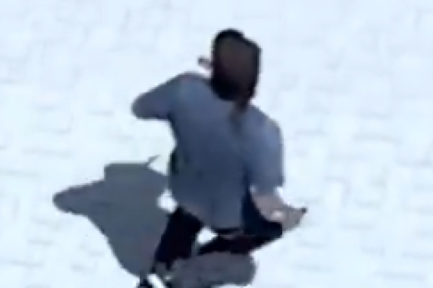 Video- Car theft suspect flees in vehicle, runs across rooftops before arrest