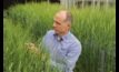 AGT Head of Science and Business Development, Dr Tristan Coram, is part of new locally-discovered technology to help barley growers. Image courtesy AGT.