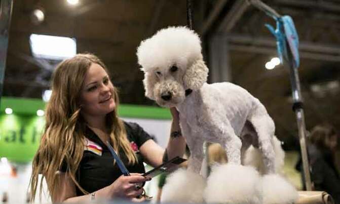 Freedom on a leash: Dogs give new life to disabled owners Freedom on a leash: Dogs give new life to disabled owners