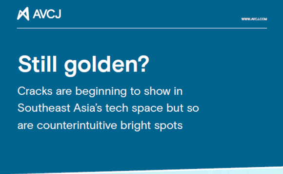 AVCJ Southeast Asia Forum 2022 special issue