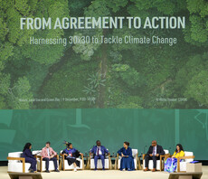 Will COP28 at last unite nature and climate action?