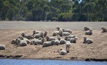 March saw downpours in many parts of south-eastern Australia, replenishing ground water supplies. 