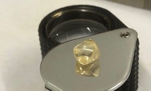  The first yellow diamond recovered from bulk sampling