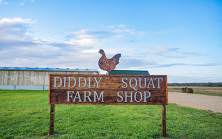 Diddly Squat Farm partners with Ocado, delivering British produce straight to customers' doors  