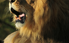 Trade sales make roaring start to 2010