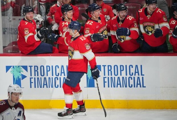 Panthers look to end slump, face Capitals