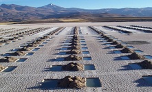 Millennial Lithium's Pastos Grandes project in Salta, Argentina