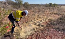 Aircore drilling in the Musgrave region, WA