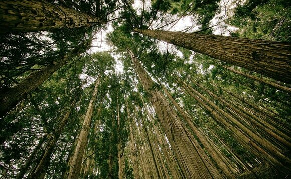 Credit: iStock
