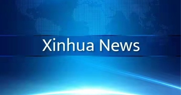 Tightly knit local supply web boosts China's offshore wind push