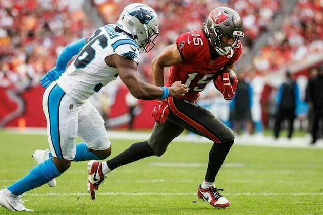 NFC South Check-In: Carolina Panthers