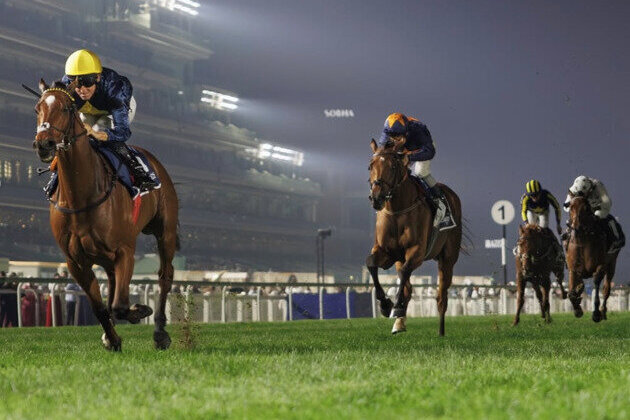 Over 70 horses compete in Friday's opening card of Dubai Racing Carnival