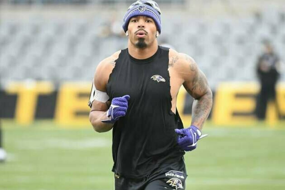 Steelers sign former Ravens S Chuck Clark