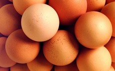 35,000 people urge supermarkets to 'crack down' on imported egg products