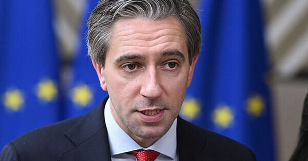 Ireland deputy leader says Trump Board of Peace has  very serious red flag