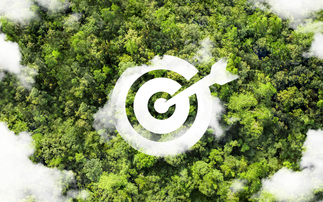 SBTi joins ISEAL in latest bid to strengthen governance and transparency