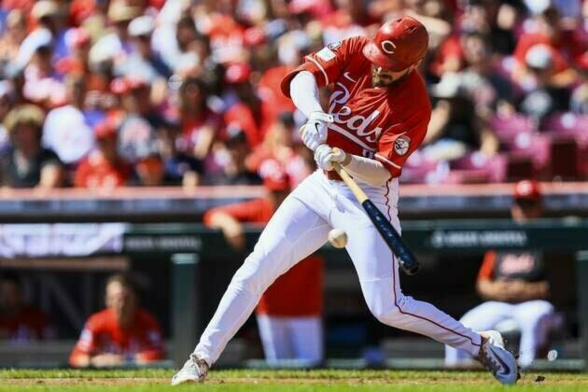 Austin Hays' homer helps Reds end skid vs. Cardinals