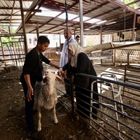 MIDEAST-JERUSALEM-EID AL-ADHA-MARKET