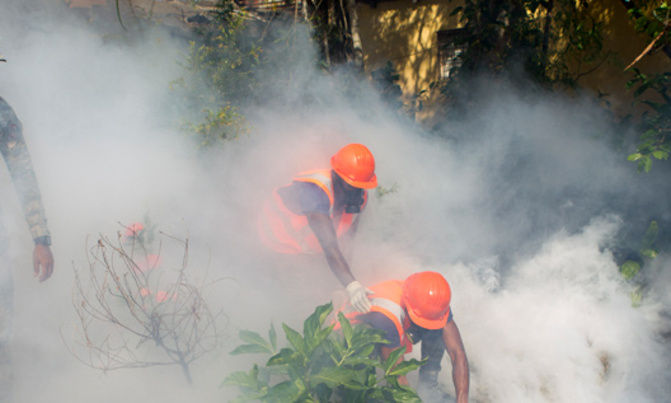 WHO mulls global health emergency declaration on Zika WHO mulls global health emergency declaration on Zika