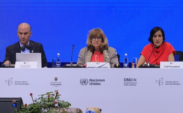 'Negotiations are stalling on crucial issues': Fractious UN biodiversity talks enter final stretch