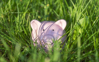 Pensions watchdog launches climate change compliance campaign