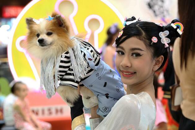 Asia Album: Highlights of pet fashion show in Thailand