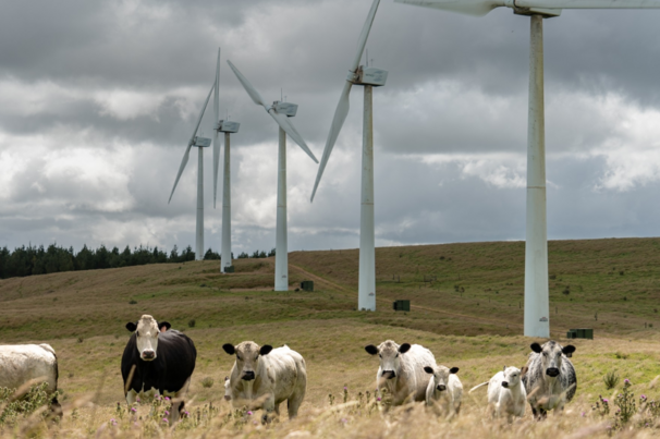 Meridian's acquisition of NZ Windfarms approved by high court