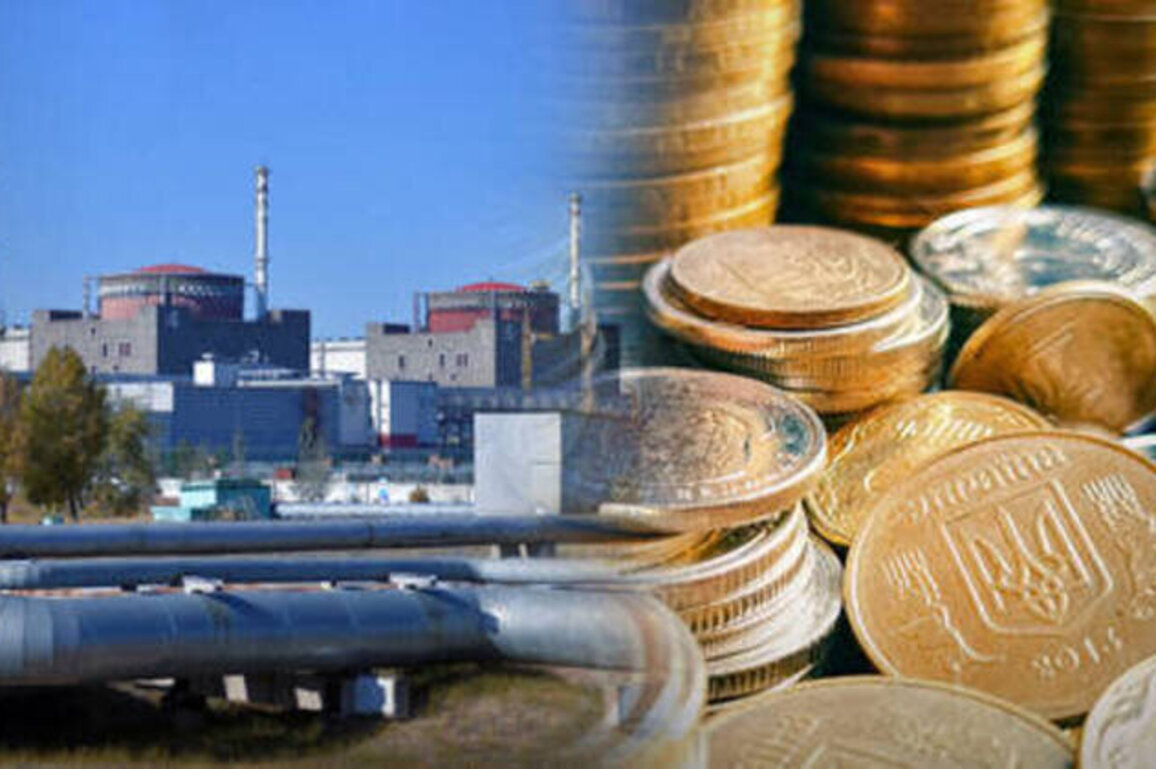Ukrainian officials embezzled millions off Russian nuclear power plant - MP