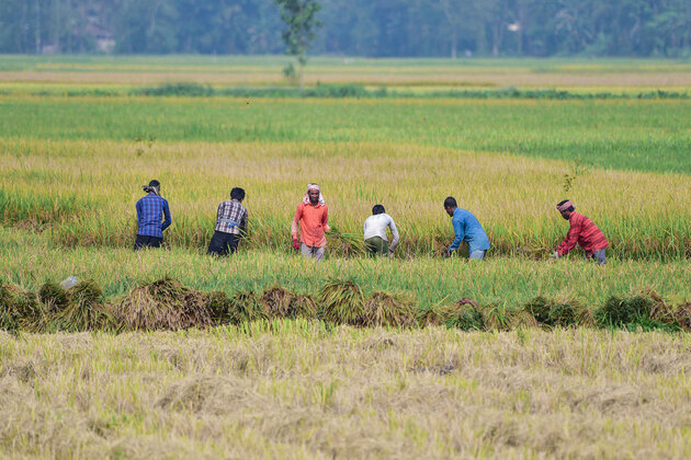 RBI says agriculture outlook for FY27 hinges on monsoon progress, distribution; El Nino poses risk