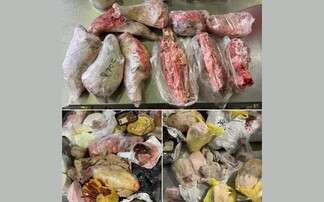 Farmers have 'little confidence' in Gov's ability to keep animal diseases at bay