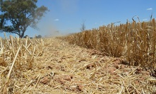 WA harvest shatters records