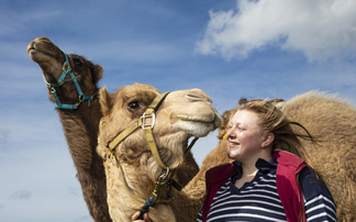 Young Farmer Focus - Daisy Fossett: "We became the UK's first and only camel dairy"