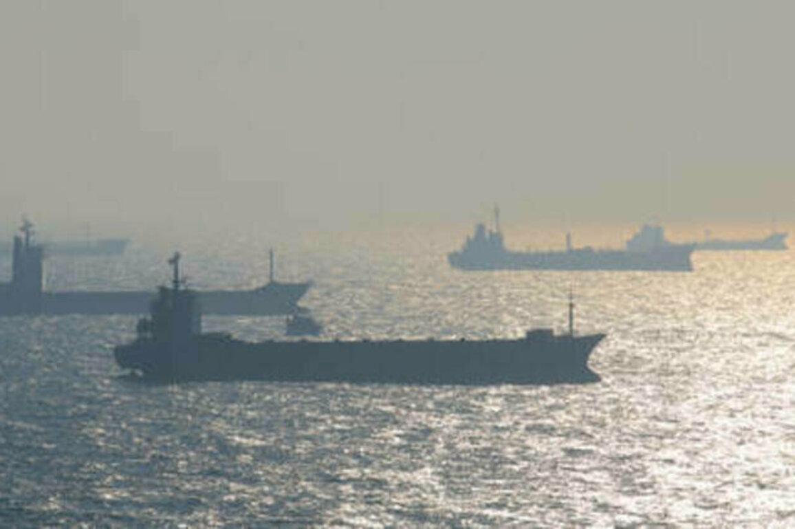 Russian oil product finds unexpected top buyer - NGO