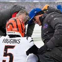 Bengals face more uncertainty with WR Tee Higgins, DE Trey Hendrickson