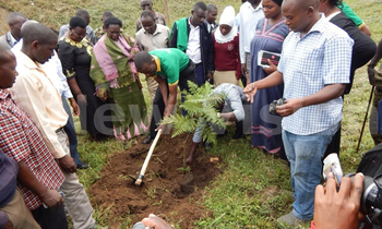Fort portal mayor kintu muhanga and other officails launching the tree planting porject on the banks of mpanga river in fort portal over the weekend 350x210