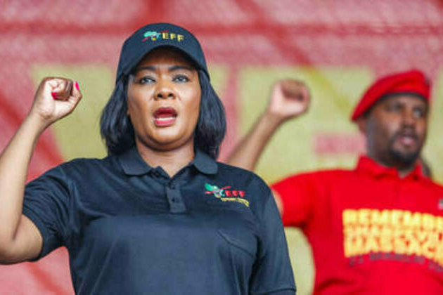 South African MP proposes 'Apartheid tax' to shield poor from VAT hike