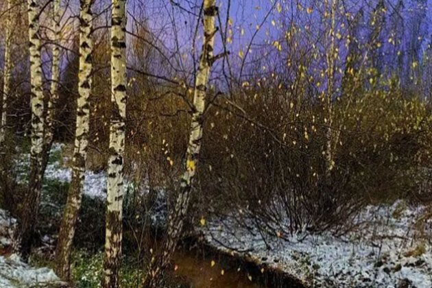 Russian Philologists, Journalists launch educational project on Eurasian development