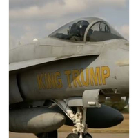 Trumpeting from skies: Trump shares AI video of spraying mud on 'No Kings' protestors