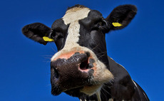 15 dairy farmers to follow on social media if you really want to know what happens on UK farms
