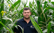 Partner insight: Earliness of maturity key for marginal maize grower 