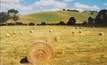 Buy a Bale to help struggling farmers